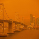 AFP_8PM698.jpg