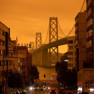 AFP_8PM69E.jpg