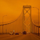 AFP_8PM69A.jpg