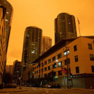 AFP_8PM69D.jpg