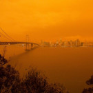 AFP_8PM68Z.jpg