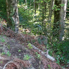 Verkehrsunfall L54 Th__ringerberg - Foto 9 - Bernd Hofmeister - VOL_AT.jpg