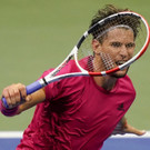 US_Open_Tennis_23560.jpg