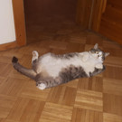 20180815_195927.jpg