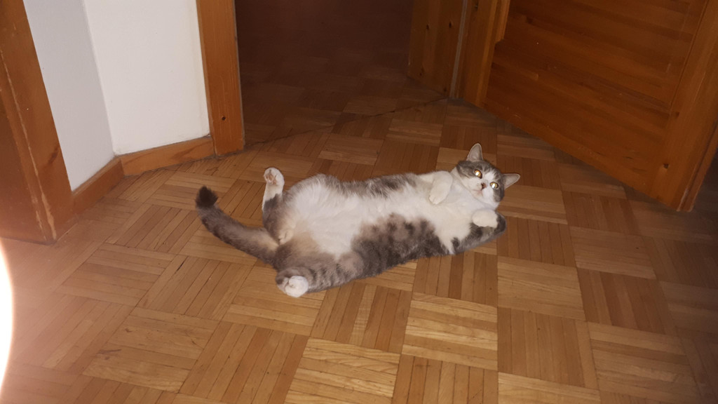 20180815_195927.jpg