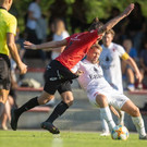 file7catnnwovcg1fh5rya3h.jpg