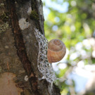 image028_jpg-1599981783.jpg
