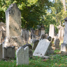 NR. Wolfgang Sobotka und Ariel Muzicant im jüdischen Friedhof Währing - Wien - 13.09.2020