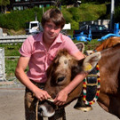 Alpabtrieb 2020 _53_.jpg