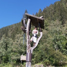 umh7.jpg