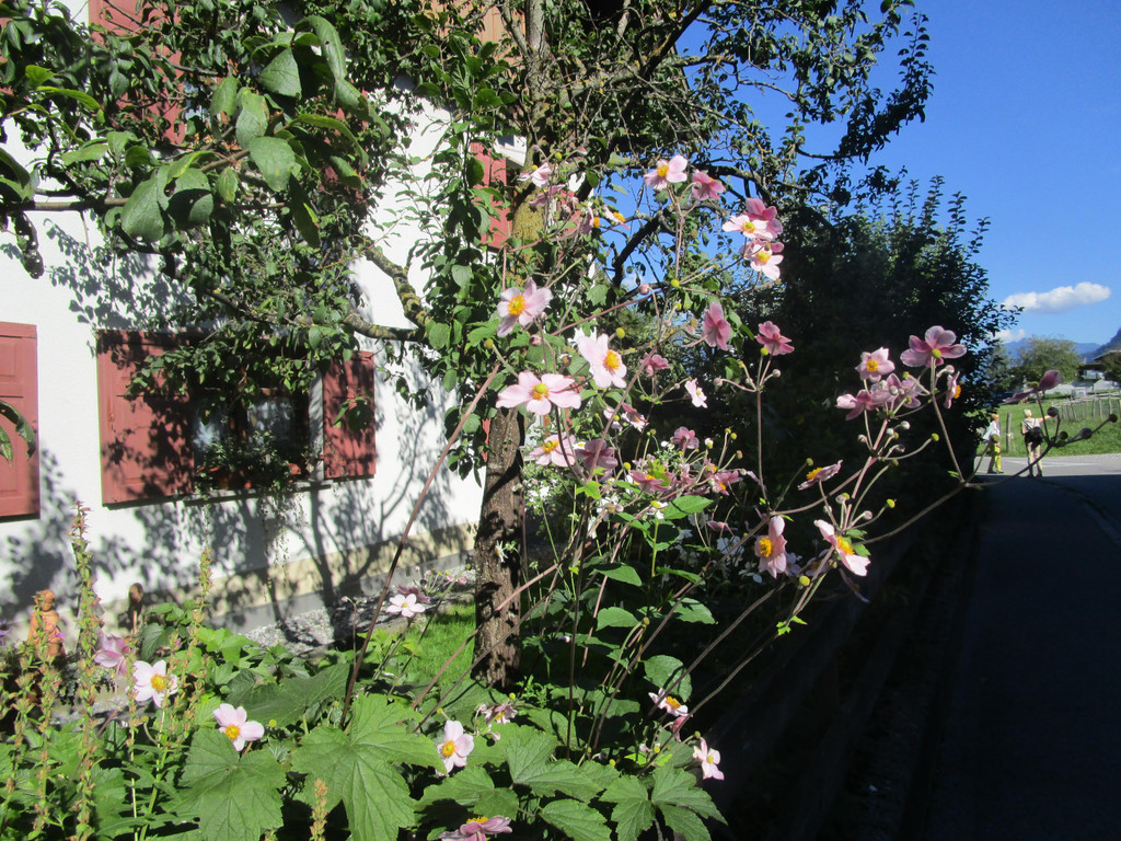 IMG_4025.JPG
