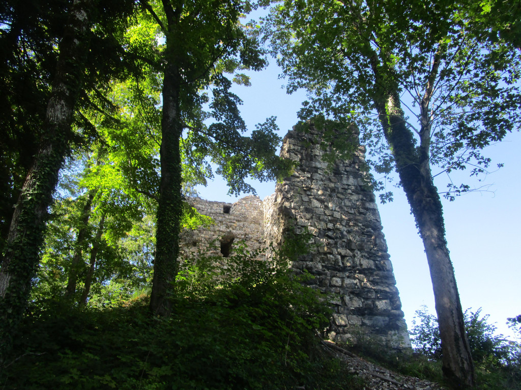IMG_3978.JPG