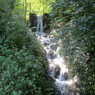 IMG_3990.JPG