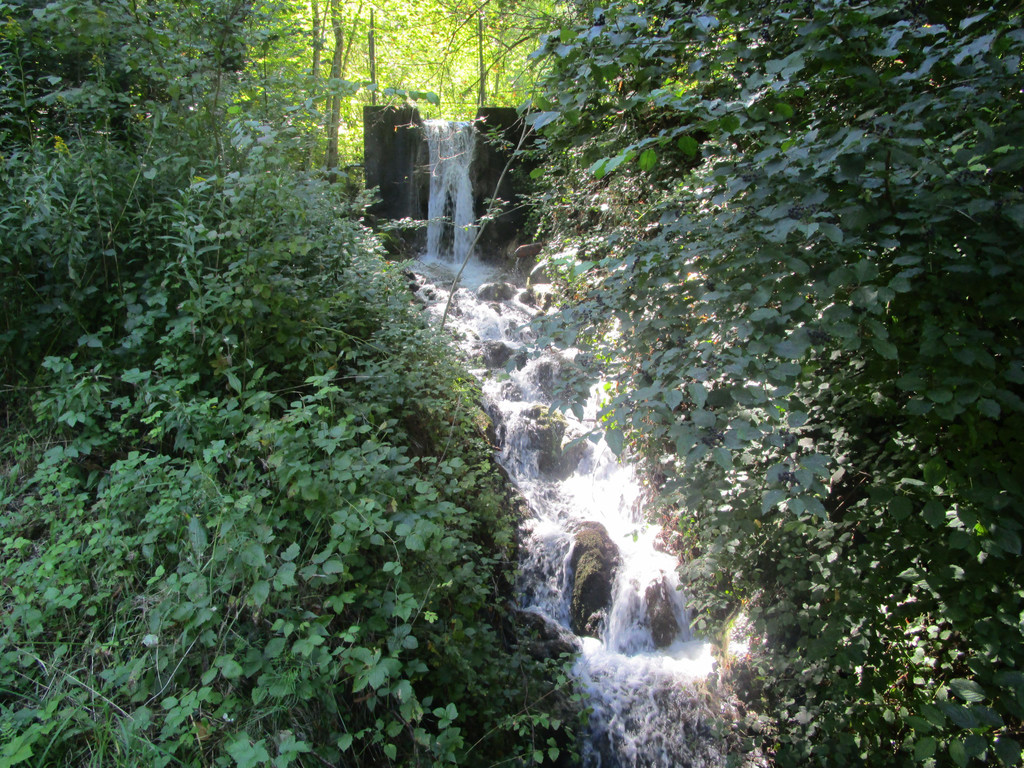 IMG_3990.JPG