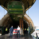 ABD0111-20200916.jpg