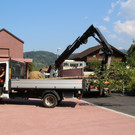 Schulbaum am Bildungszentrum eingepflanzt