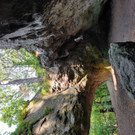 IMG_20200912_141023.jpg
