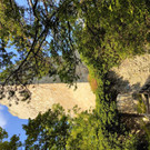 IMG_20200912_142845.jpg