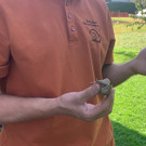 image00014.jpeg