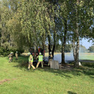 Baumhütte im Ried brennt nieder