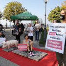 2020-09-19_VGT_Vollspaltenboden_Bregenz_4.jpg