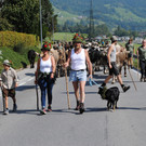 Alpe Albona zog durchs Klostertal