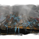 709154.jpg