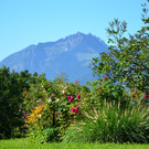 zw 0709_15.JPG