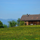 Suldis 240519_1.jpg