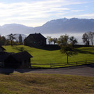 goldiger Herbst _56_.JPG