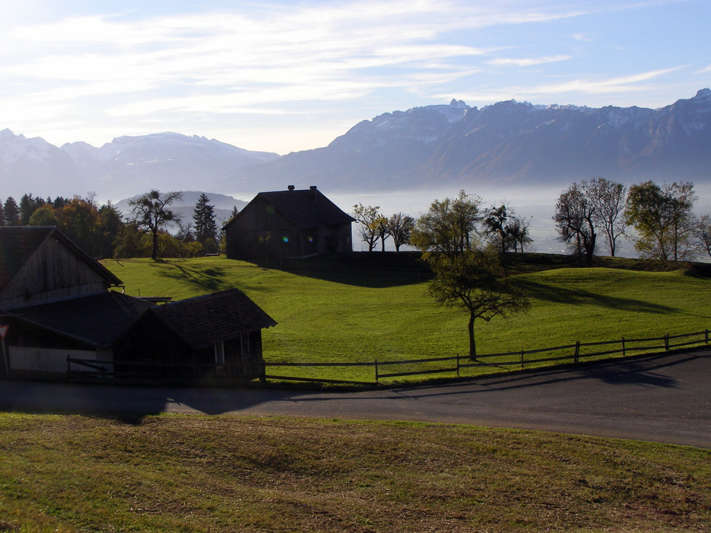 goldiger Herbst _56_.JPG