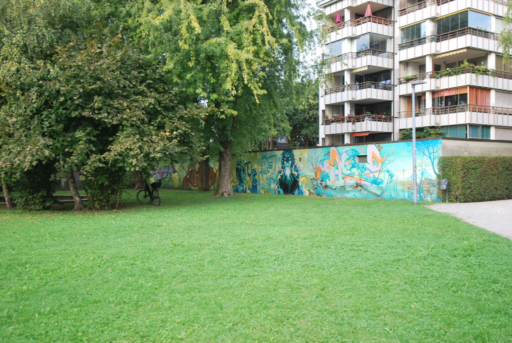 DSC_2723 Kopie.JPG