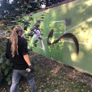 IMG_2454.JPEG
