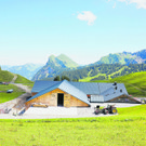 1_2_VN_AlpeWildgunten_Kaufm_376_fin.jpg