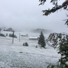 Schnee auf dem Bödele