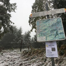 bild_von_ios_720455.jpg