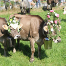 image022.jpg