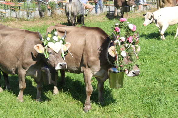 image022.jpg