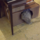 Foto6.png