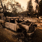 AFP_8QX6TV.jpg