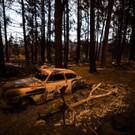 AFP_8QX6TX.jpg