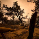 AFP_8QX6TY.jpg