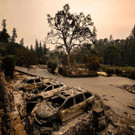 AFP_8QX68G.jpg