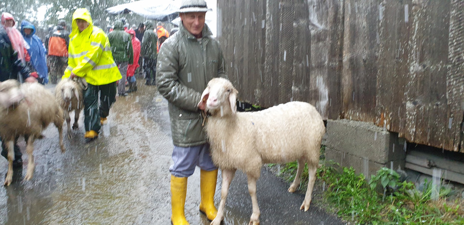 Elmar Fitsch mit Sch__flein.jpg