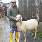 Schofschädi in Gaschurn