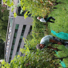 Weinlese unter der Schattenburg_Stadt Feldkirch _2_.JPG