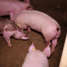 20200930_vsb7_gal.jpg