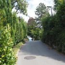 P9280024.JPG