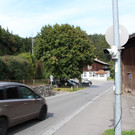 XIMG_1747.JPG