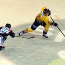 Vienna Capitals gegen Black Wings